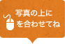 写真の上にマウスを合わせてね